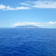 Image for article titled Review: Pentax W60 Waterproof Camera Catching Whale Sharks